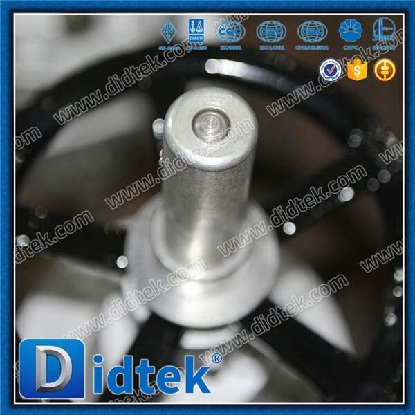 Cast Steel Through Conduit Slab Parallel Disc Gate Valve