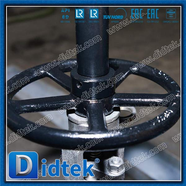 Locking Device and Position Indicator Gate Valve