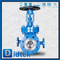 Gasoline 3'' 300LB WCB Heat Jacket Gate Valve