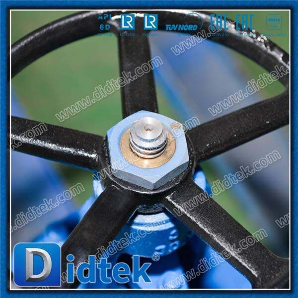 Gasoline 3'' 300LB WCB Heat Jacket Gate Valve