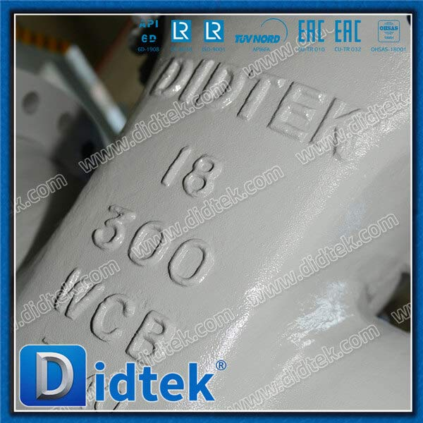 Industrial Class 300 18'' Gate Valve RF