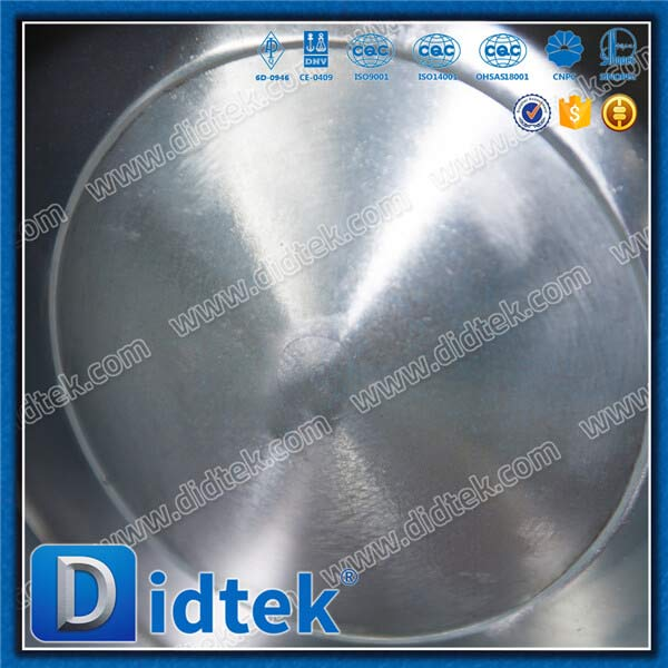 Eccentic Segment Ball Flange Connections Ball Valve