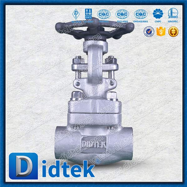 F316H IGC A262 E Version Test Forged Steel Gate Valve