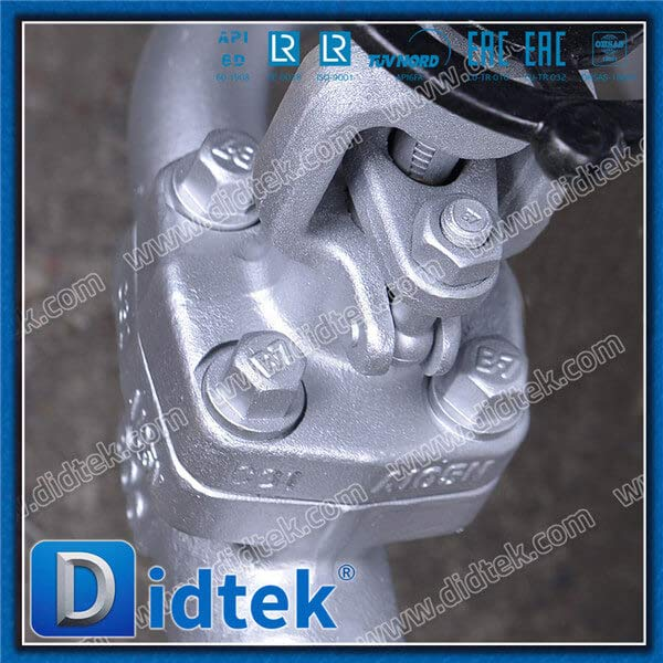 WCB Wedge Gate Valve With Bypass