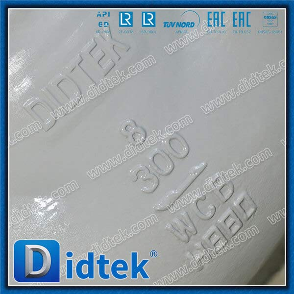 CS WCB 8'' 300 Check Valve China