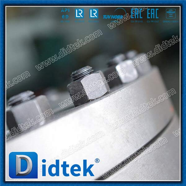 Alloy Steel C12 High Temperature 10" 600LB Swing Check Valve