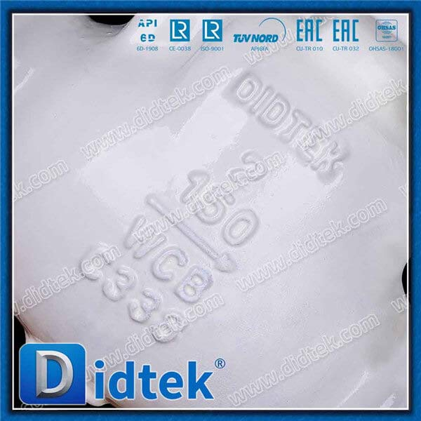 2Inch WCB Flanged Industrial Swing Check Valve
