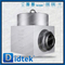 F91 Aço forjado DN200 PN250 BW Válvula de retenção de balanço