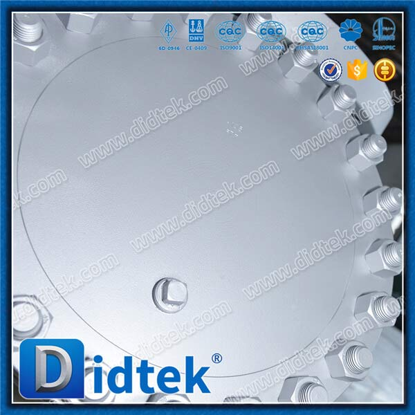 Cast Steel SCREEN 316SS 80 MESH Y Strainer
