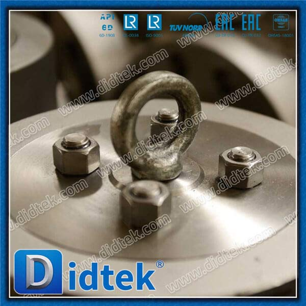 RTJ Pressure Seal CF8M Swing Check Valve