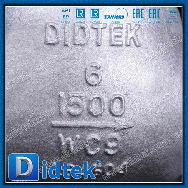 Pressure Seal Swing Check Valve