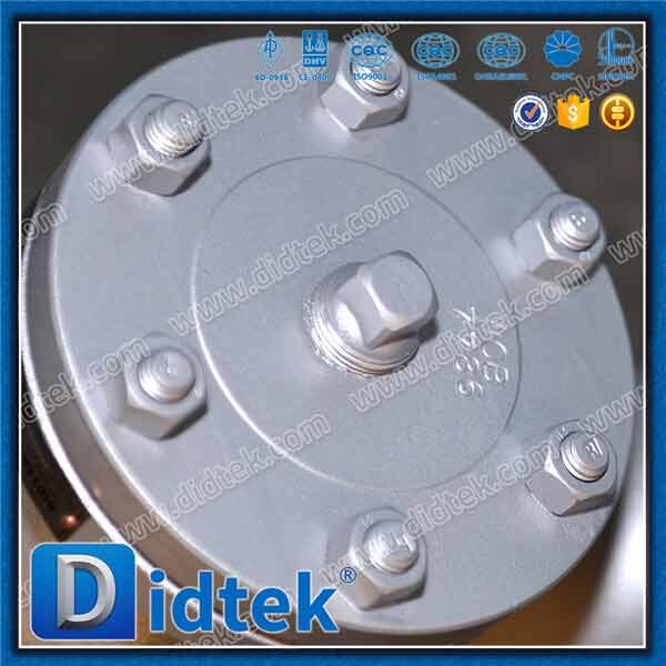 Cast Y Strainer