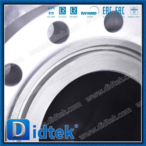Cast Steel WCB 8'' 600LB Ring Joint Swing Check Valve