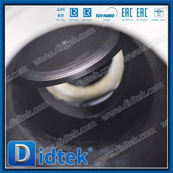 Cast Steel WCB 8'' 600LB Ring Joint Swing Check Valve