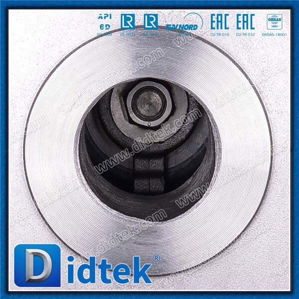 High Pressure 3inch 1500lLB Check Valve INOX CF8M