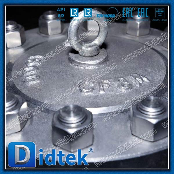 High Pressure 3inch 1500lLB Check Valve INOX CF8M