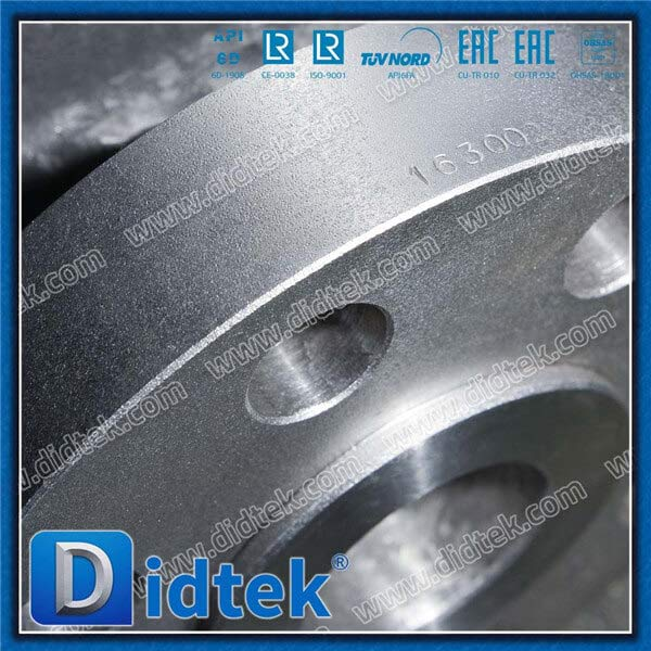 High Pressure 3inch 1500lLB Check Valve INOX CF8M
