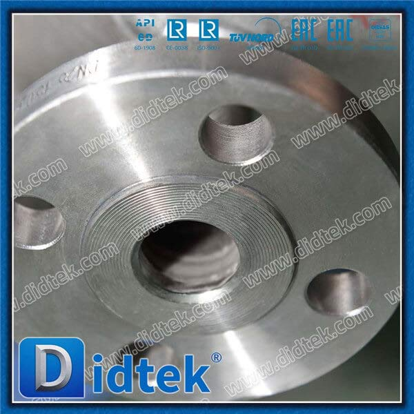 Heat Jacket Swing Check Valve
