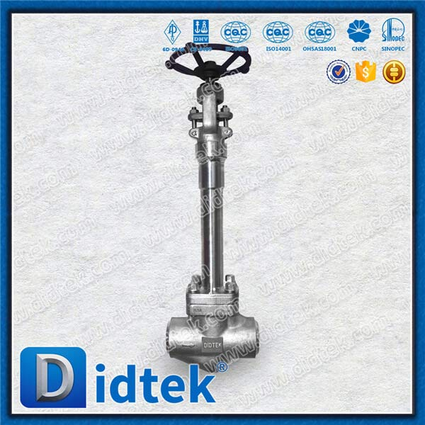Cryogenic Globe Valve Butt Welded Ends