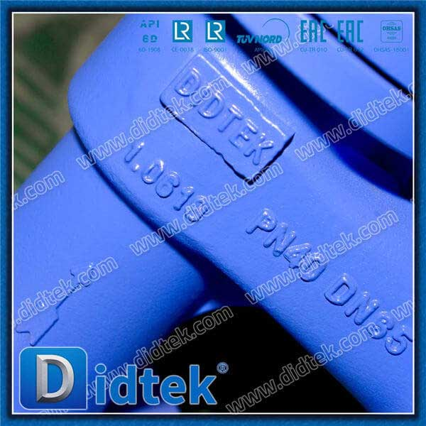 1.0619 SS304 Spring Angle Globe Check Valve