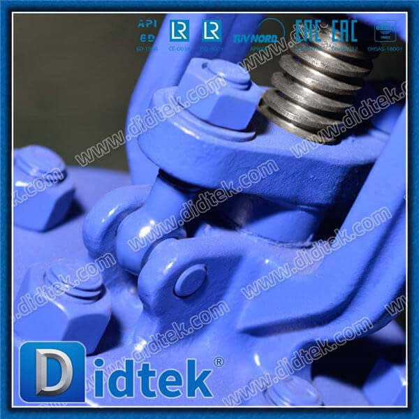 1.0619 SS304 Spring Angle Globe Check Valve