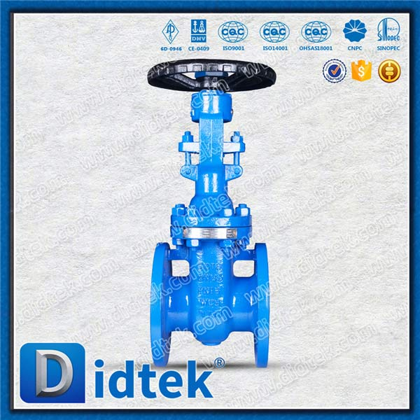 DIN Gate Valve-DN65, WCB, Hand wheel, Flange