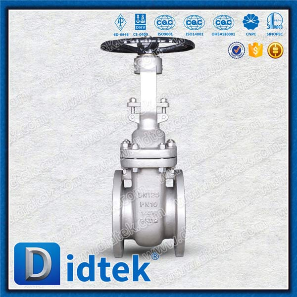 DIN Gate Valve 1.4408 DN125 PN10