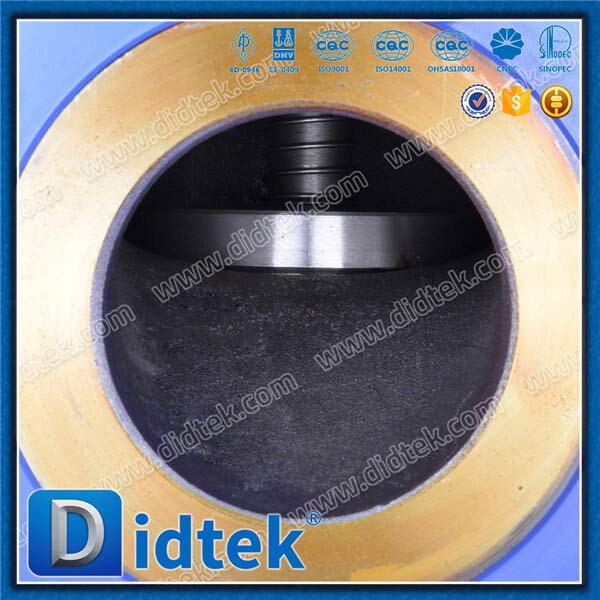 DIN Lift Check Valve