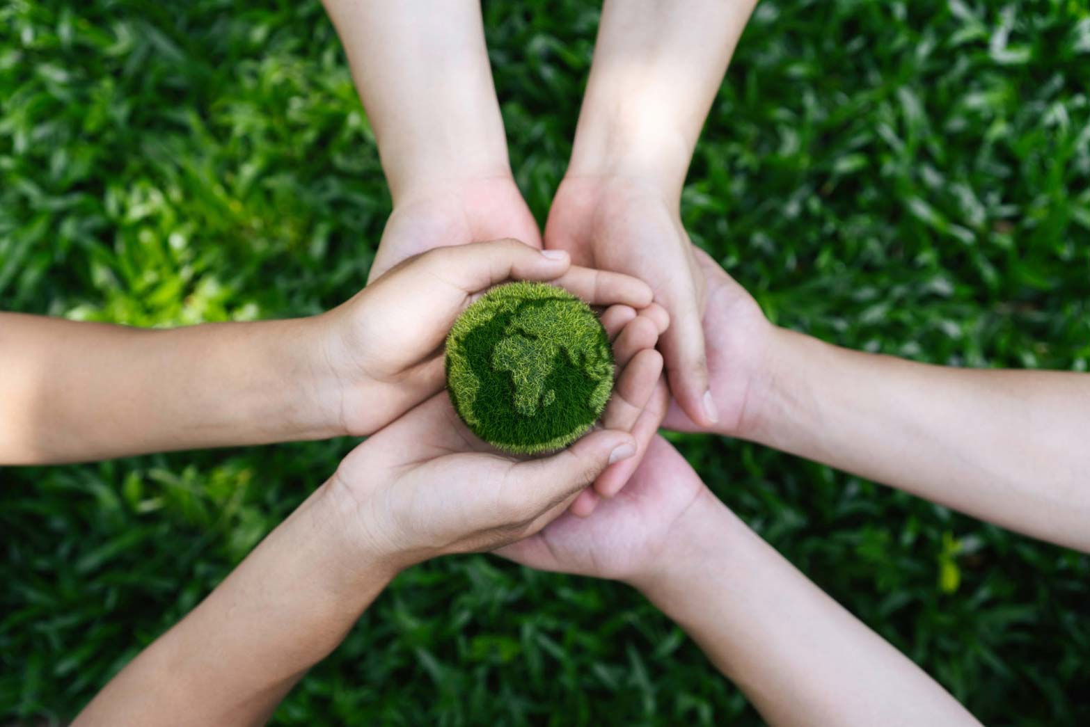 Social Responsibility