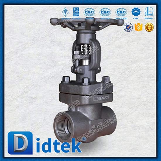 Bolted Bonnet Forged Gate Valve