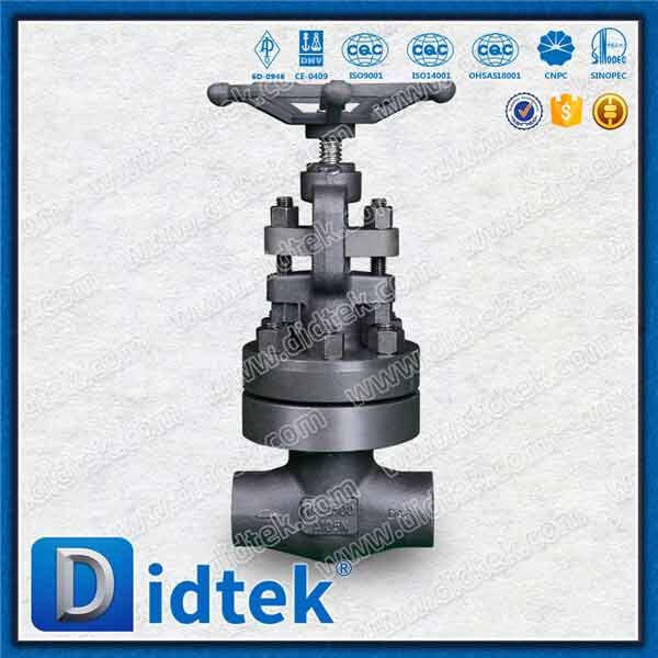 Bolted Bonnet Forged Globe Valve