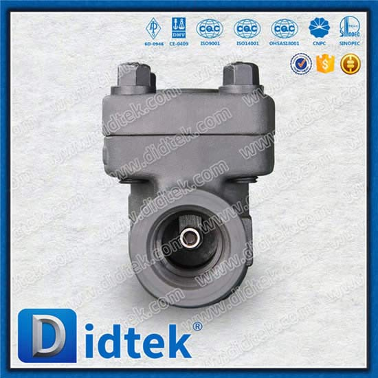 Forged Swing Check Valve