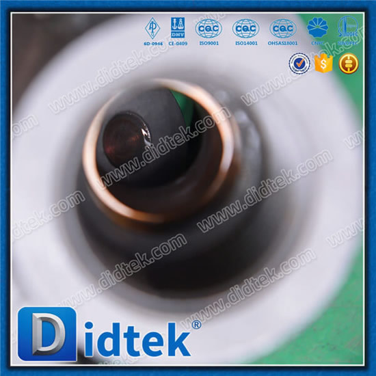 Forged Swing Check Valve