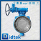 Stainless Steel Butt Welded Butterfly Valve